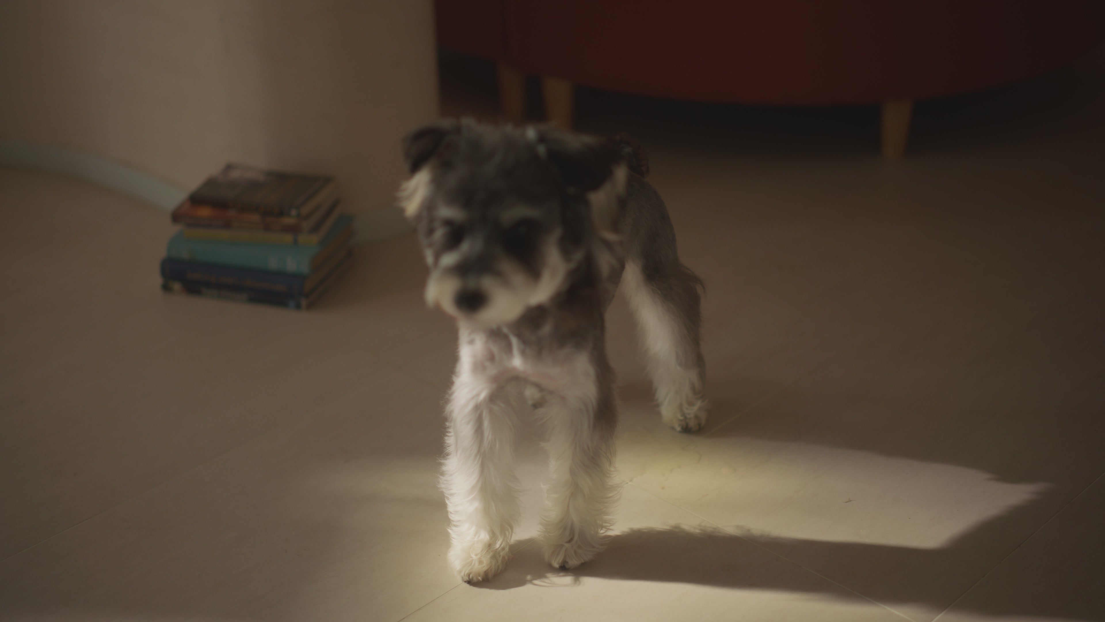 MOVA V50 Ultra Complete robotti-imuri & -moppi + puhdistustelakka