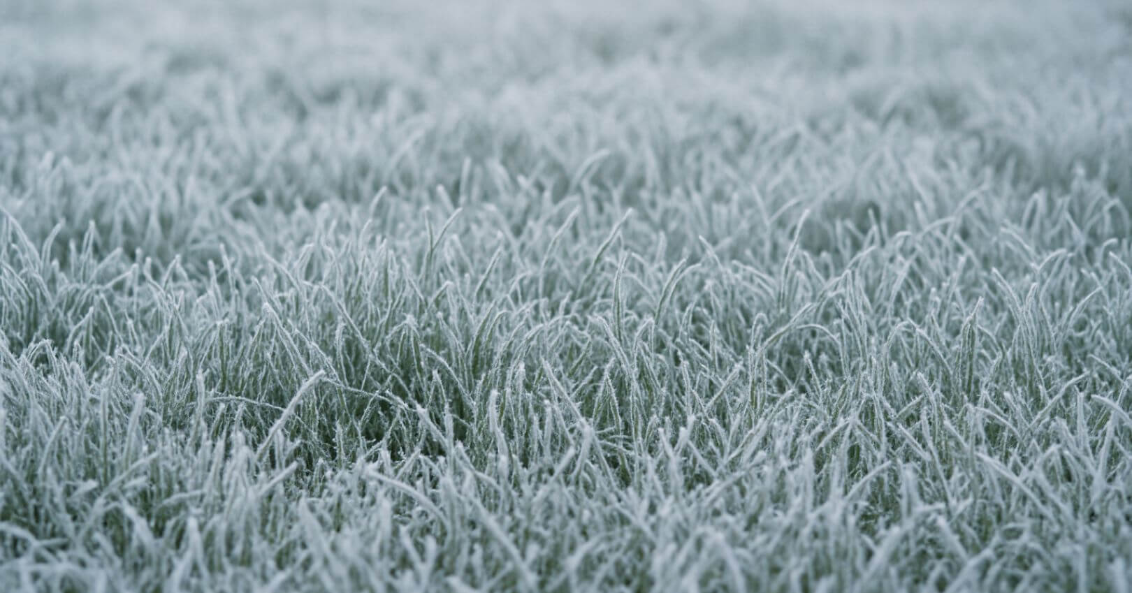 Robottiruohonleikkurin talvisäilytys ja -huolto