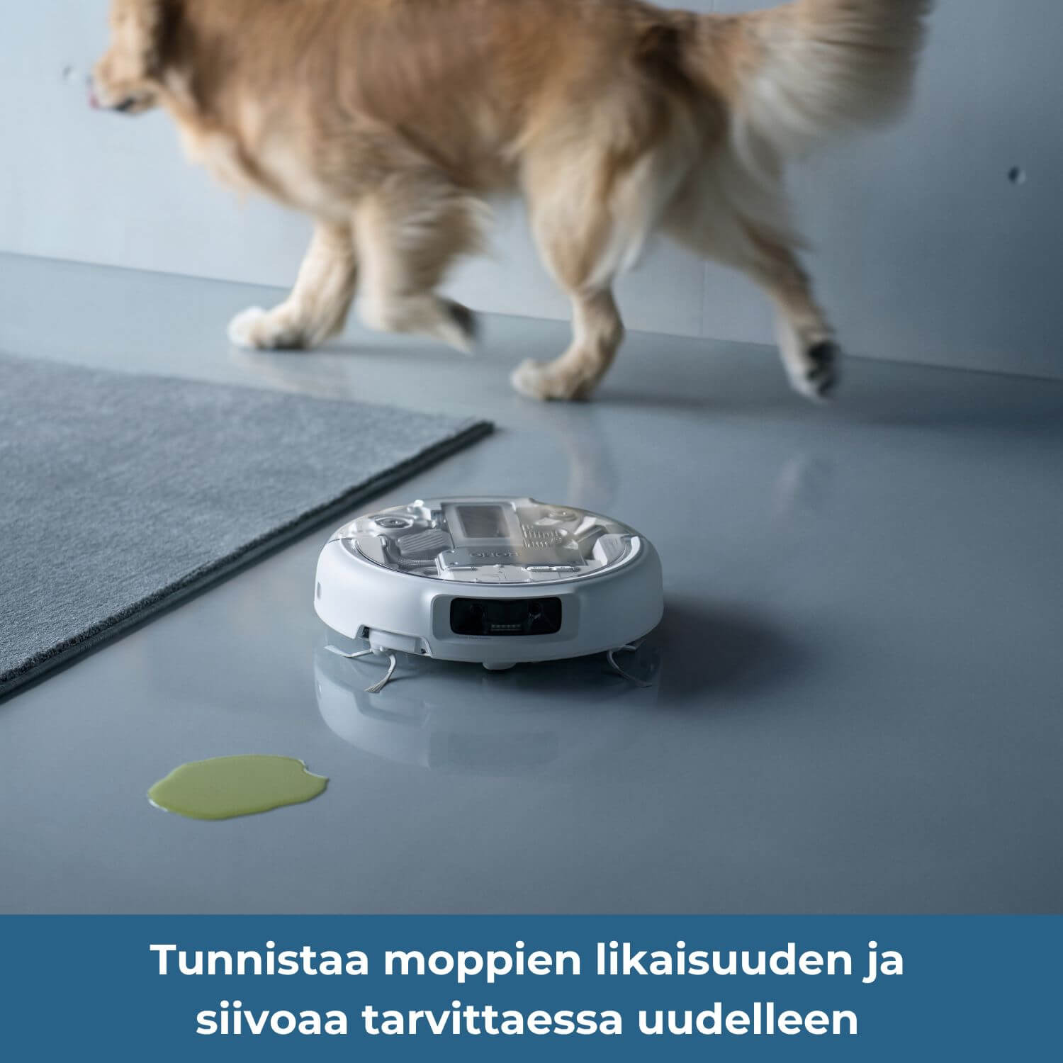 DJI ROMO P tunnistaa likaisuuden ja siivoaa tarvittaessa uusiksi