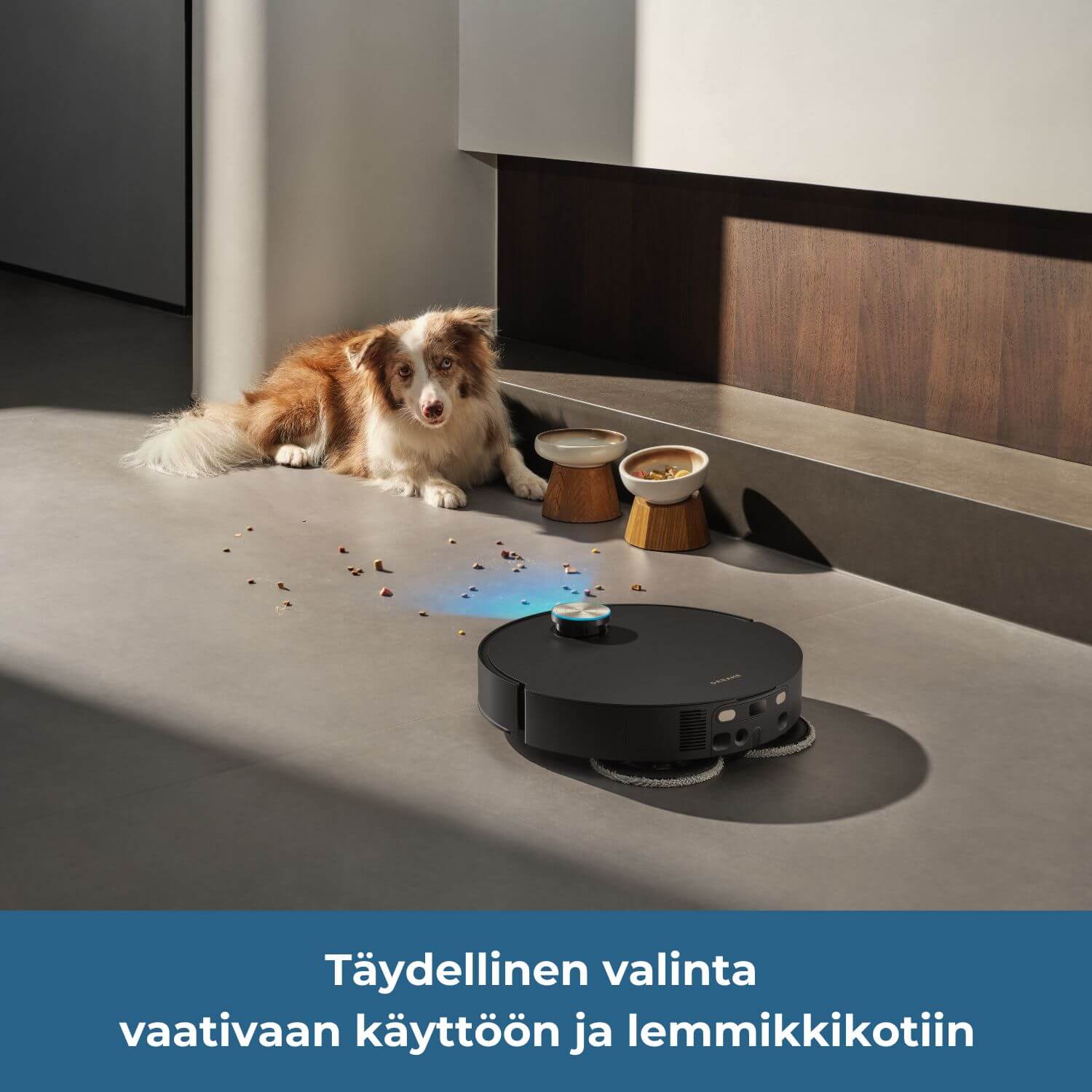 Dreame X60 Ultra robotti-imuri on täydellinen valinta vaativaan käyttöön ja lemmikkikotiin.