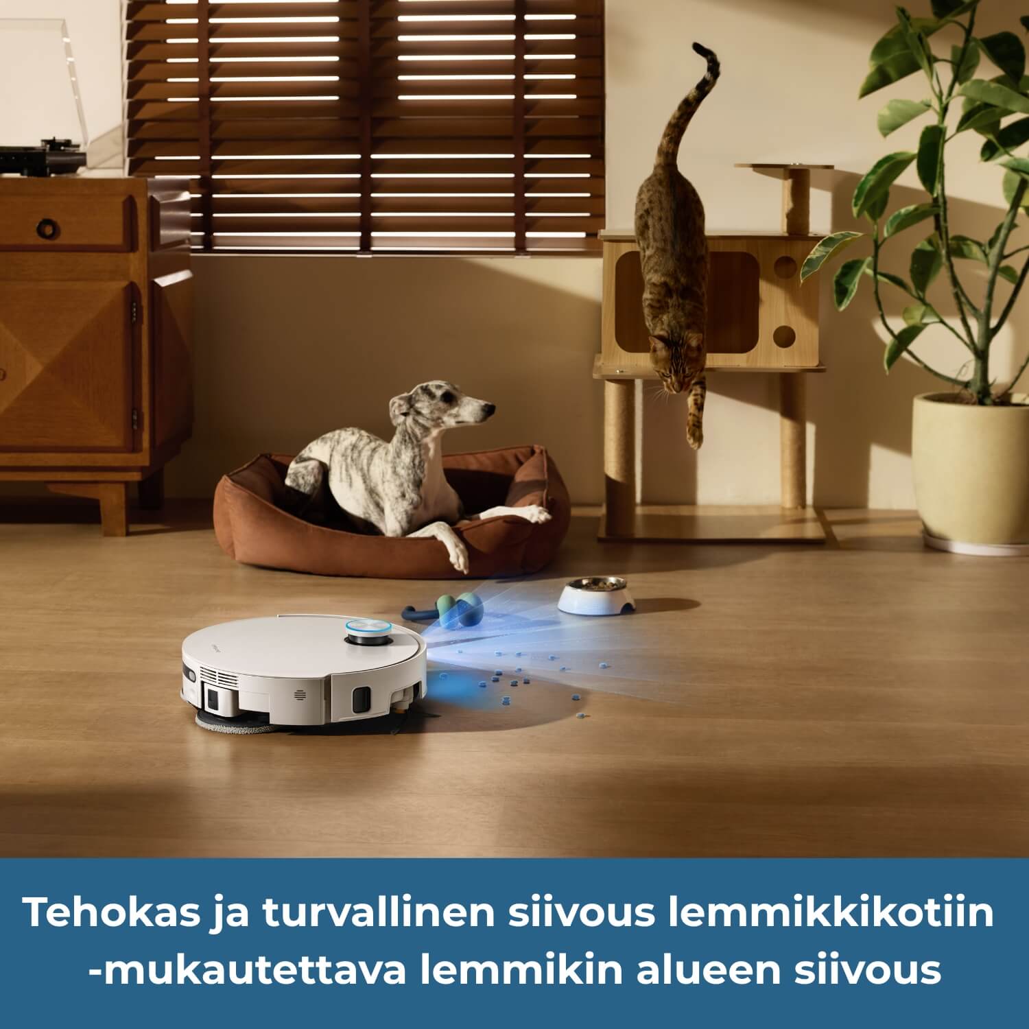 Dreame X60 Pro Ultra Complete robotti-imuri on tehokas ja turvallinen lekmmikkikotiin ja siinä on mukautettava lemmikin alueen siivous