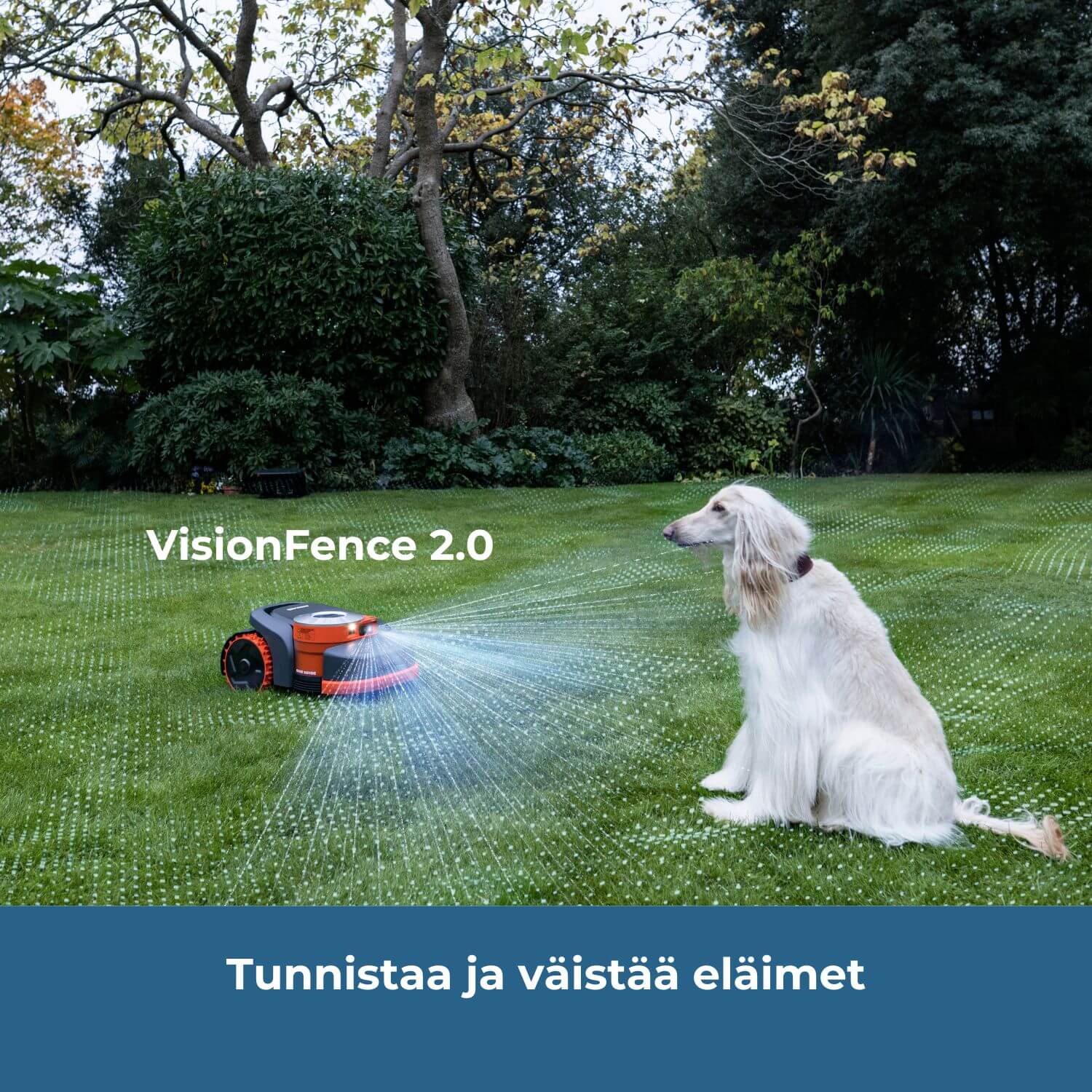 Segway Navimow H2_E robottileikkuri tunnistaa ja väistää eläimet VisionFence 2.0 teknologian avulla. Kameratunnistus tunnistaa pihalla olevan koiran ja robottileikkuri väistää sen.