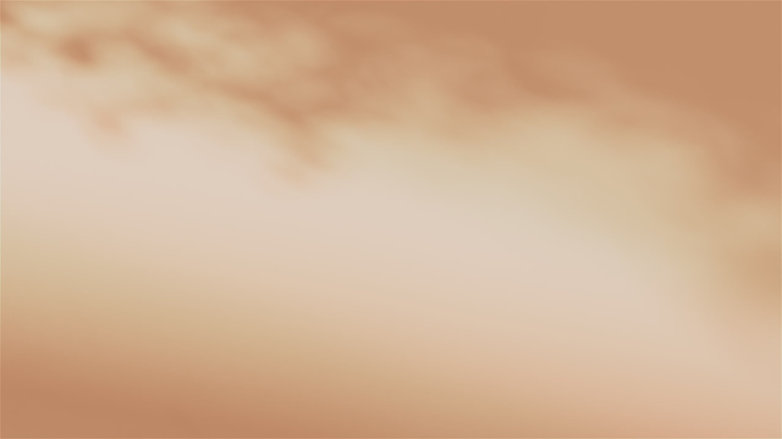 Roborock Q10 PF+ robotti-imuri & -moppi + tyhjennystelakka